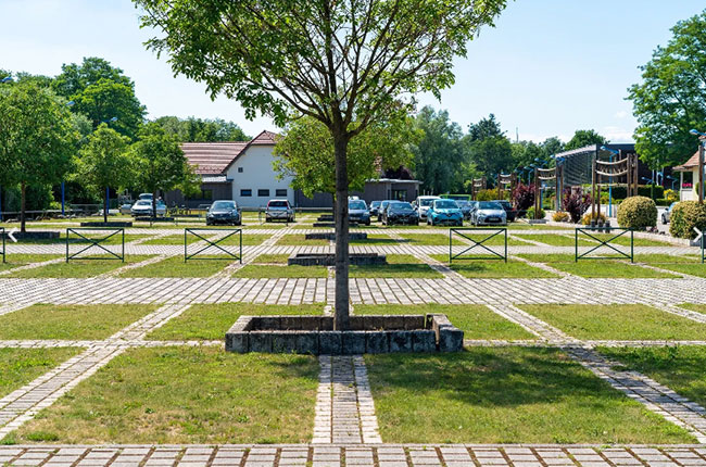 Parking végétalisé